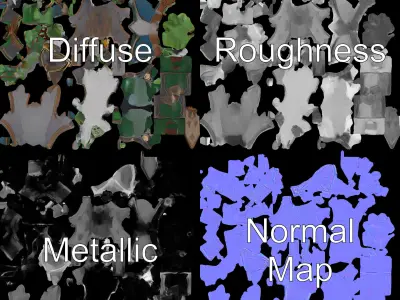 Fantasy Elven Sorcerer Character Model  Rigged and Animated Low-poly 3D model