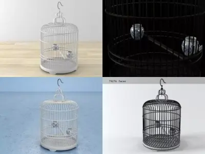 Birdcage 03 3D model