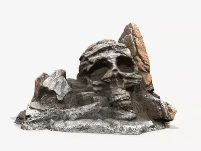 Skull Rock Low-poly 3D model buy