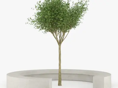 COMU BY VORA ARQUITECTURA Tree Bench 3D model