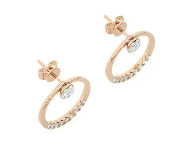 Light wt Women Diamond Earrings  3D print model