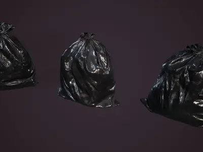 Street Garbage Low-poly 3D model
