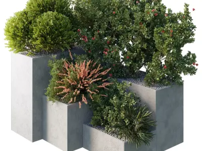 Garden Plants Flowers Box - Outdoor Plants 212 3D model