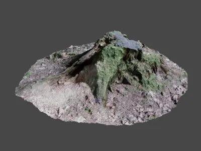 Tree Stump 2 3D model