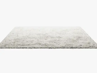 Carpets with long pile 3D model