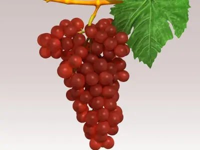 Grapes Red Low-poly 3D model