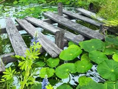 Small Pond -  Full Model Sketchup - V-ray Render 3D model