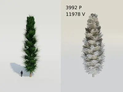 Spruce Fir Trees pack Low-poly 3D model