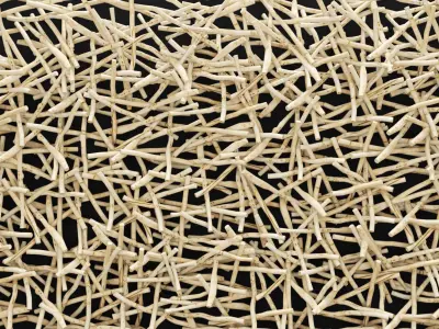 Stick Wall Art 3D 3D model