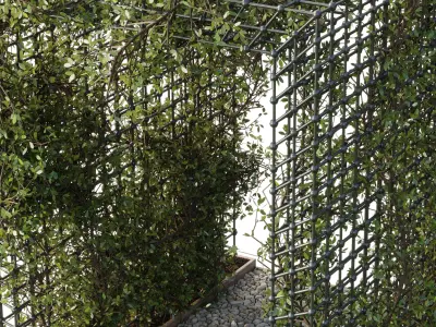 Ivy Plant Pergola - Outdoor Green Wall and Fence set 244 3D model