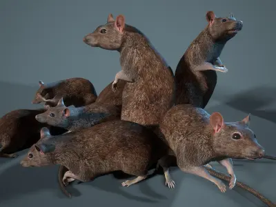  Rat 12-animations Game ready props Low-poly 
