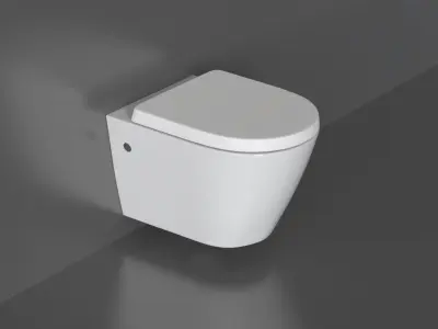WC20 Toilet 3D model