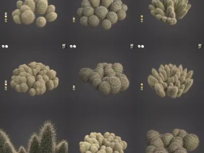 2021 PBR Strawberry Hedgehog - Echinocactus Engelmannii  3D model