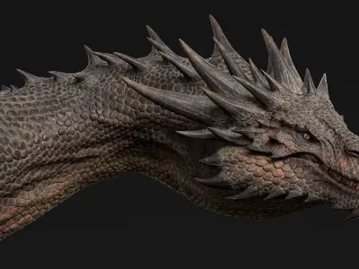  Dragon Adult Rigged 