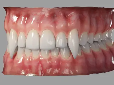  Realistic Rigged Vampire Teeth Mouth 