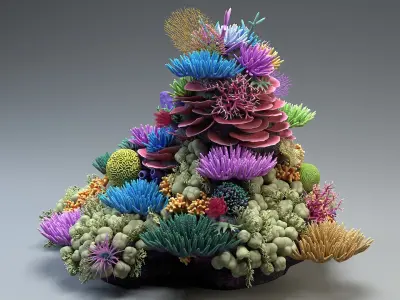  Coral Reef 02 