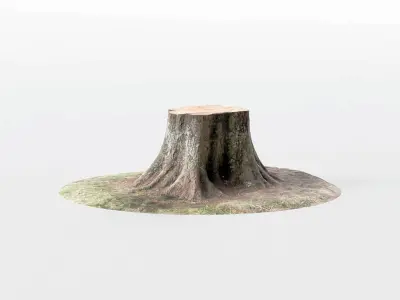Tree Stumps 6 Photoscanned Low-Poly Low-poly 3D model