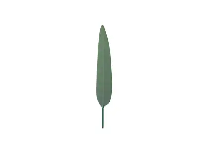 Big Leaf Low-poly 3D model