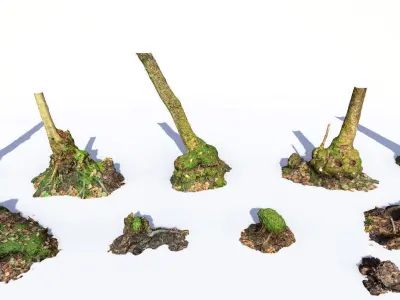 Mossy Tree Collection - Processed Scans PBR 4K Low-poly 3D model