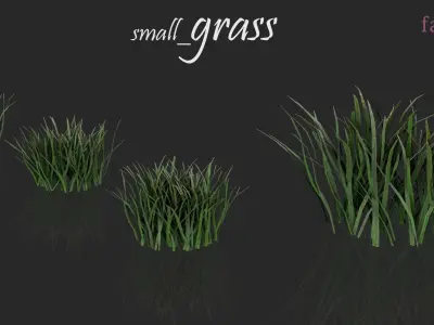 Grass Pack 3D model