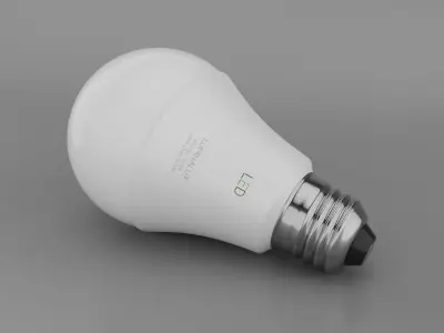 Light bulbs LED Light Bulb 3D model