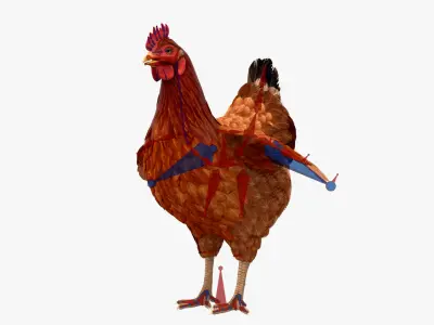  Chicken Rigged For Blender 