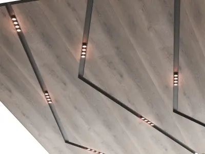 Wooden suspended ceiling with lighting 52 3D model