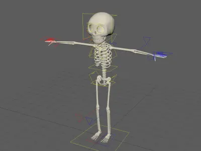  Stylized Cartoon Skeleton - Rigged for Maya 