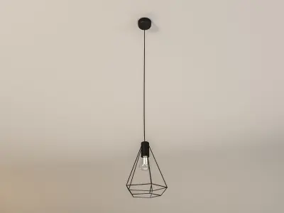 Industrial Wire Metal Ceiling Lamp Free 3D model