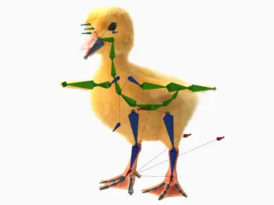  Duck Ducklings Fur Rigged For Blender 