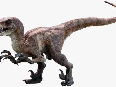  Velociraptor 