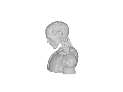 Game Ready Sci Fi Android Robot Head Cybernetic Character 3D model
