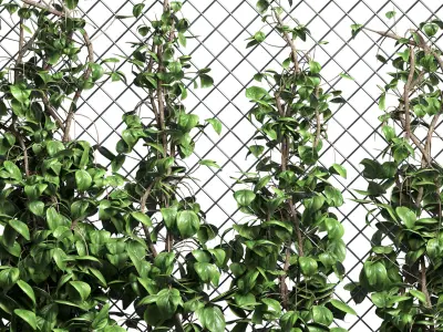 fence and ivy outdoor plant metal vase 01 3D model