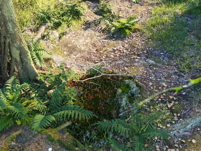 The Forest - Full Model Sketchup - V-ray Render 3D model