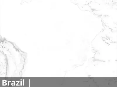 Brazil Occlusion Thickness Cavity Curvature 14k High res Maps Texture