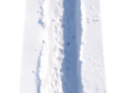 Winter footpath 3D model