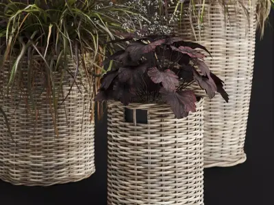 Decorative Grasses in Wicker Baskets 3D model