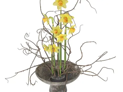 Daffodils Dry Twisted Branch Bouquet 3D model
