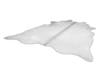 Salt and Papper Cowhide Rug 3D model