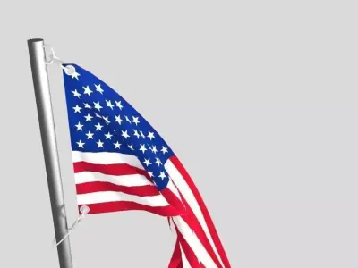 flag animation 3D model USA 3D model