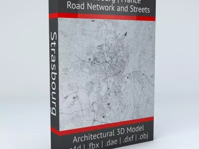 Strasbourg Road Network and Streets 3D model