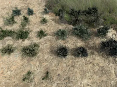 English Trees and Bushes Pack Low-poly 3D model