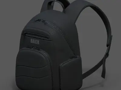 Backpack Camping bag baggage Color  Low-poly 3D model purchase