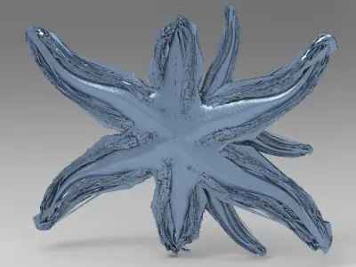 Starfish Sci fi pathway 3D model
