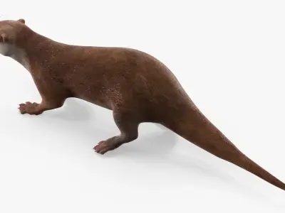  Aquatic Otter Walking Animated Rigged 