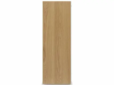 603 S2 floor standing speakers by BOWERS and WILKINS 3D model