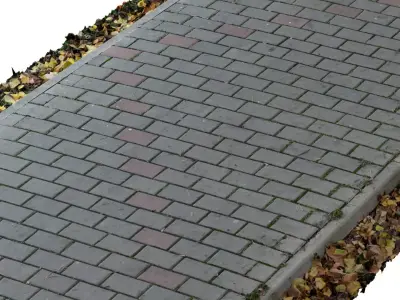 Stone Road Scan 3D model