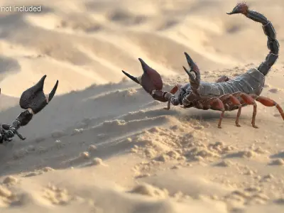  Walking Scorpion Fur Animated Rigged for Cinema 4D 