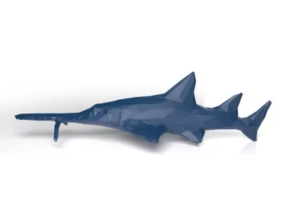 Sawshark Low Poligonal Low-poly 3D model