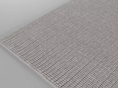 Carpet rug 3D model get